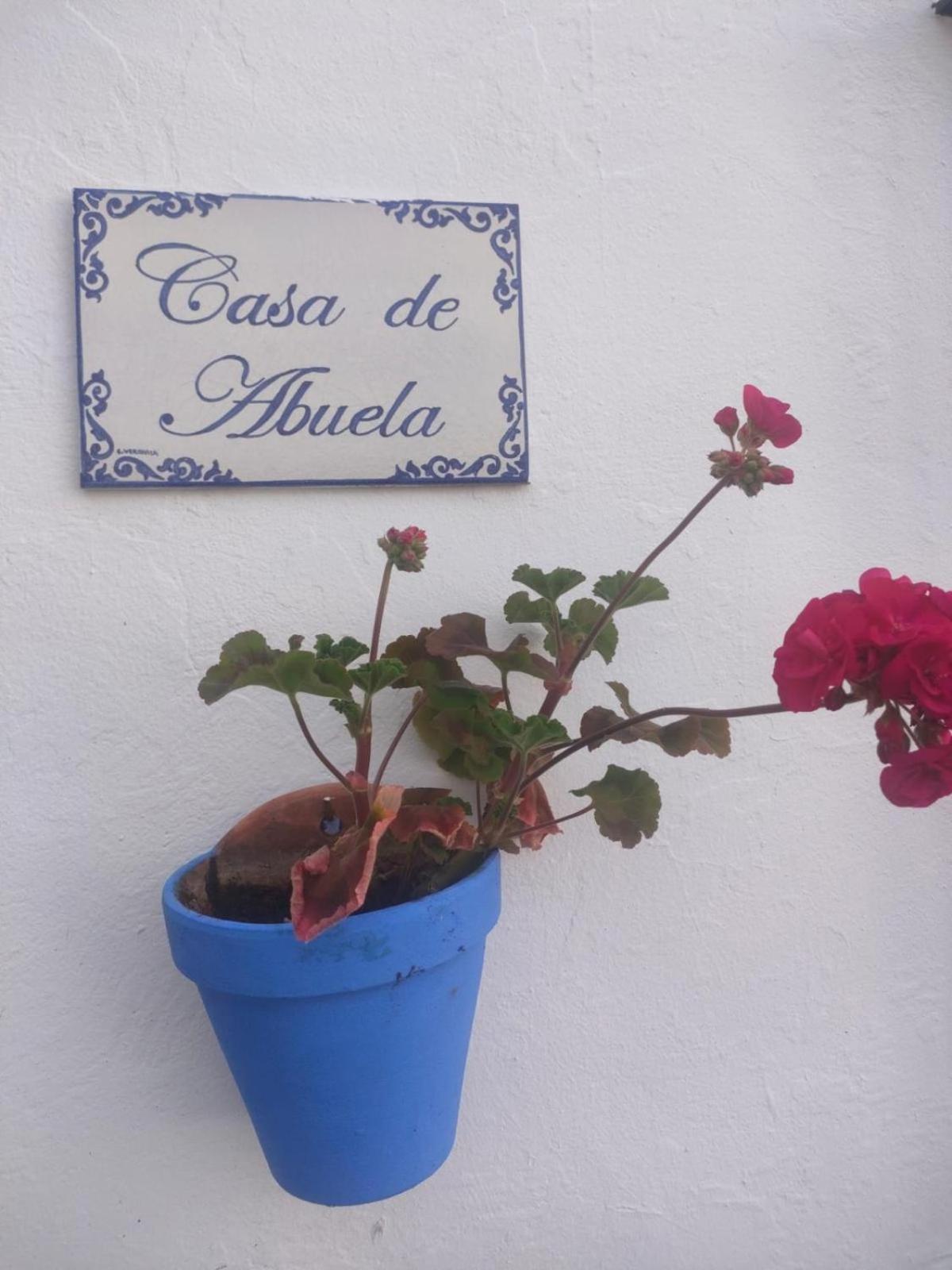 Casa De La Abuela Villa ซันลูการ์เดบาร์ราเมดา ภายนอก รูปภาพ